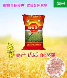 精美海報圖