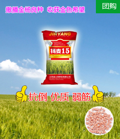 精美海報圖