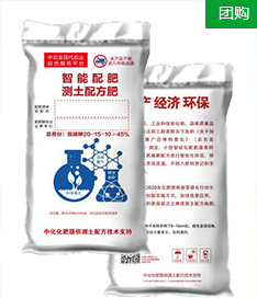 精美海報圖